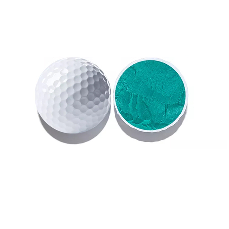 고품질 주문 로고 백색 색깔 2개 조각 Surlyn 훈련 골프 공 